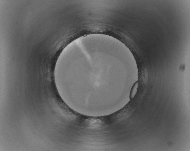 X0000111480512200908251005