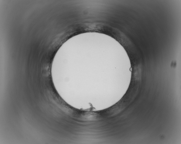X0000111480514200908251005