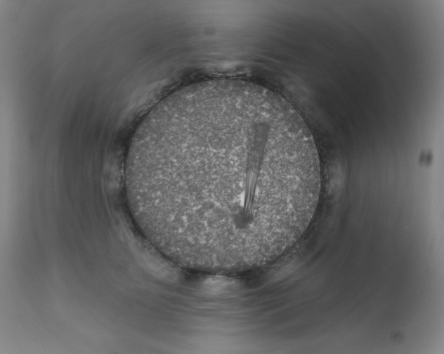 X0000111480515200908251005
