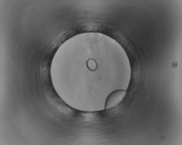 X0000111480516200908251005