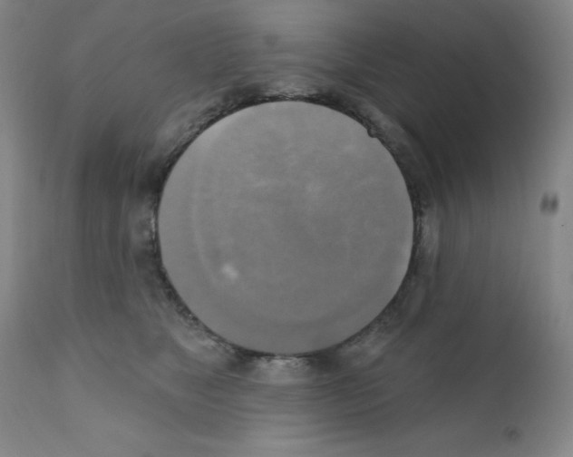 X0000111480517200908251004
