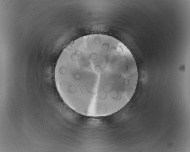 X0000111480519200908251004
