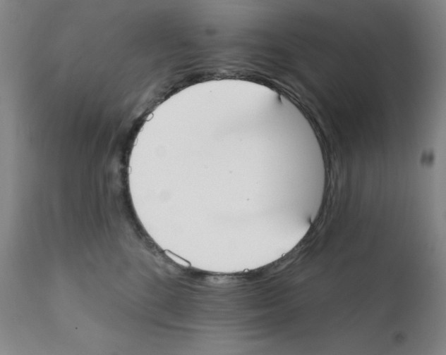 X0000111480520200908251004