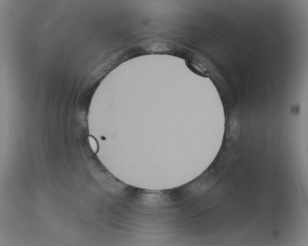X0000111480521200908251004