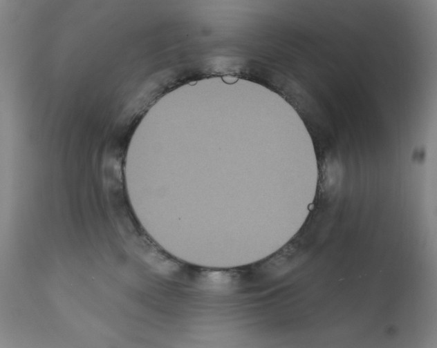 X0000111480522200908251004