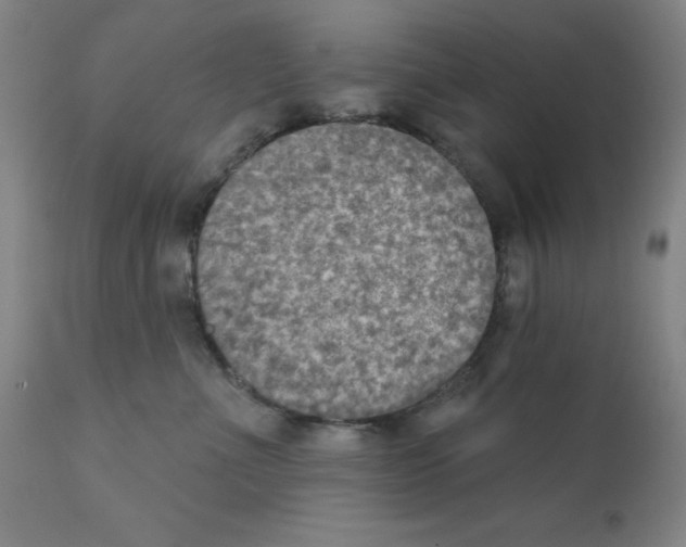 X0000111480523200908251004