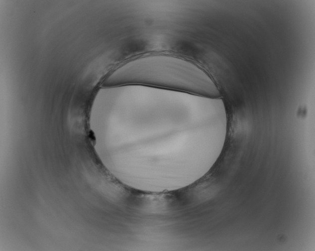 X0000111480524200908251004