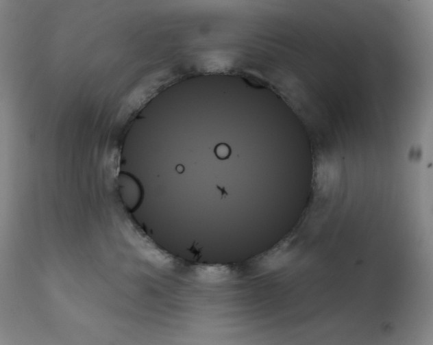 X0000111480525200908251004