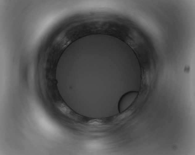 X0000111480526200908251004