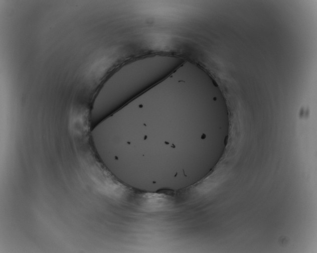 X0000111480528200908251004