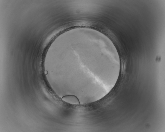 X0000111480531200908251004