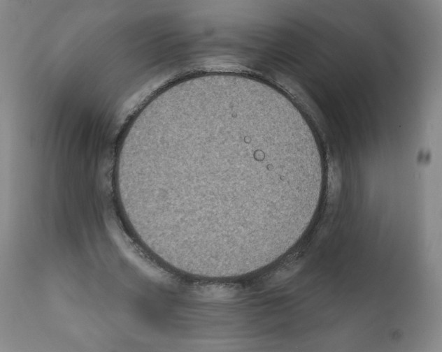 X0000111480533200908251004