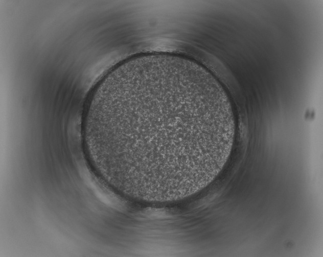 X0000111480534200908251004