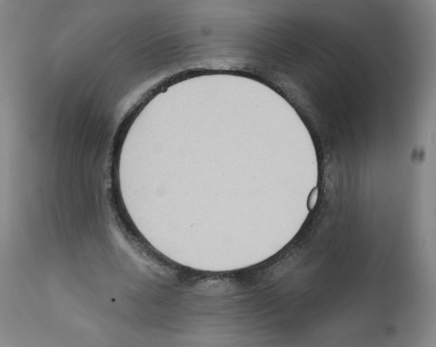 X0000111480536200908251004
