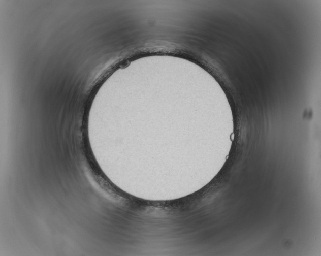 X0000111480538200908251004