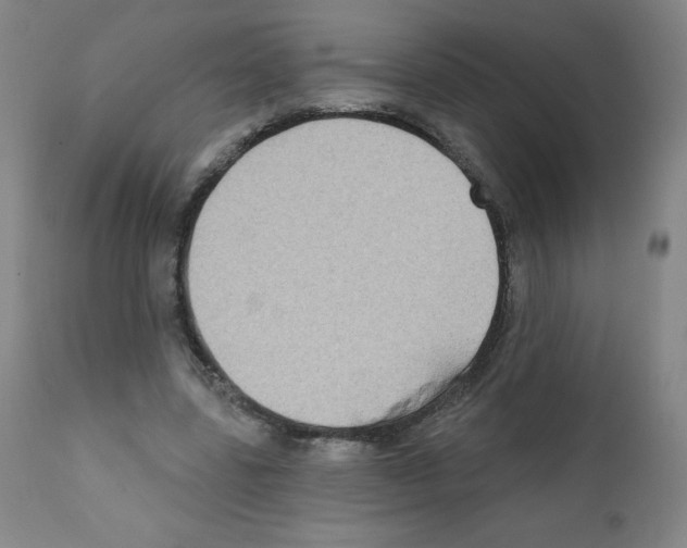 X0000111480539200908251004