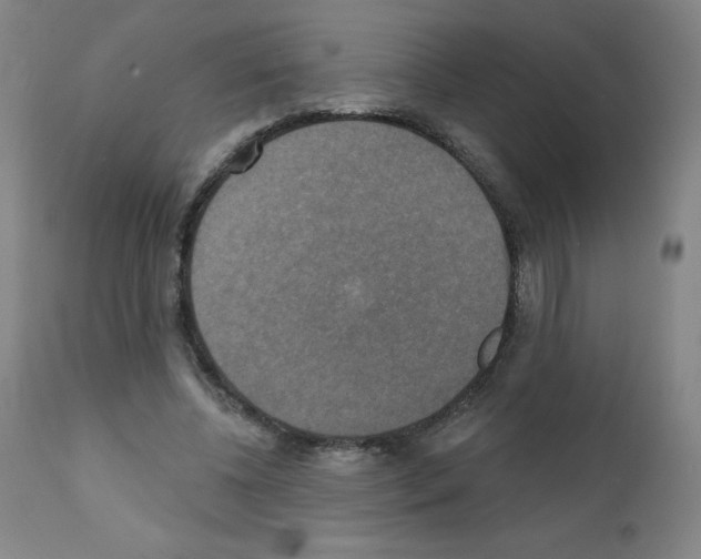 X0000111480540200908251004