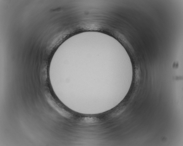 X0000111480541200908251004
