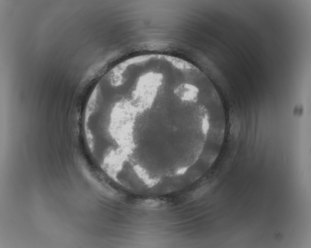 X0000111480542200908251004