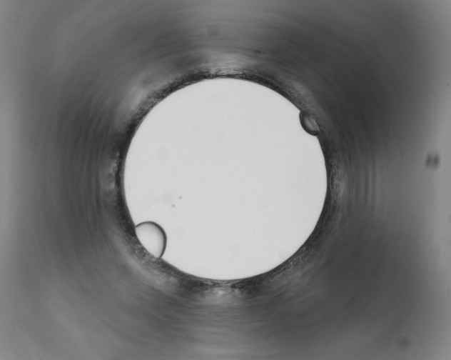 X0000111480543200908251004