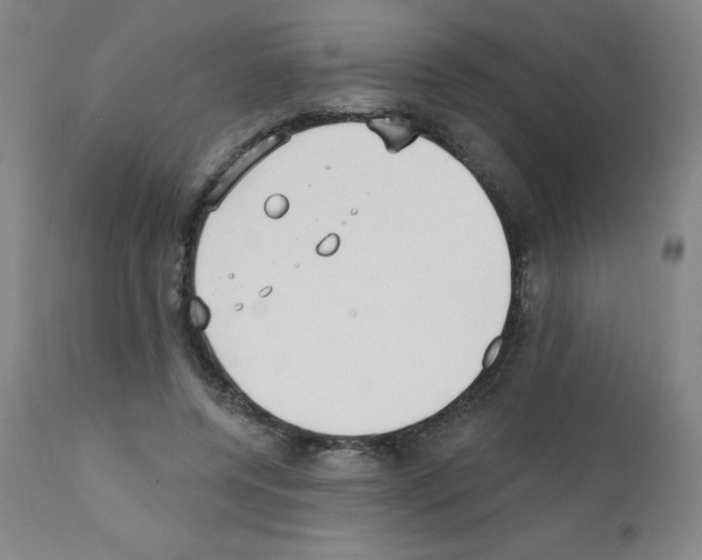 X0000111480544200908251004