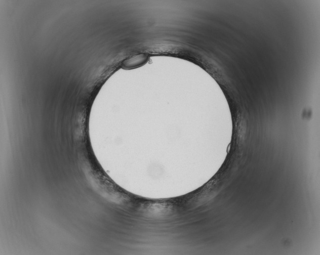 X0000111480546200908251004
