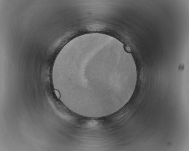 X0000111480547200908251004