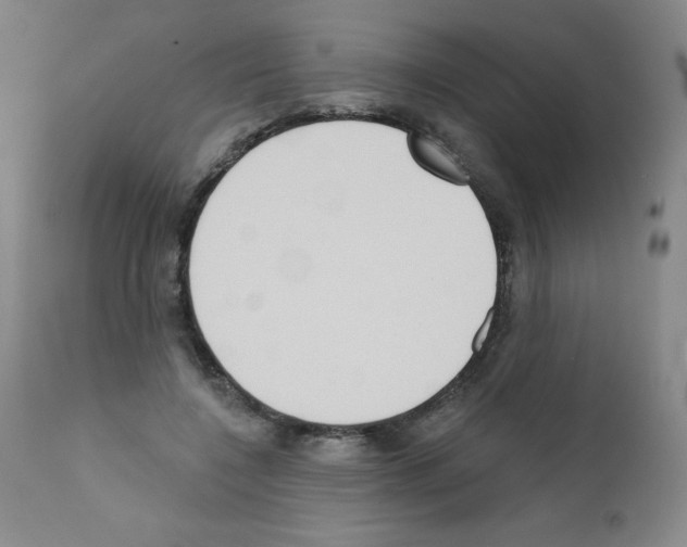 X0000111480548200908251004