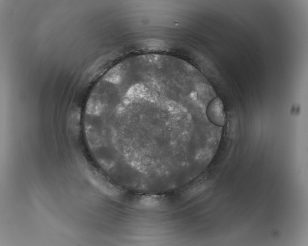 X0000111480550200908251004