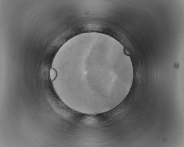 X0000111480551200908251004