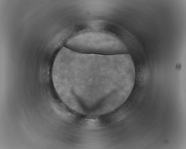 X0000111480552200908251004
