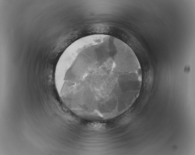 X0000111480553200908251004