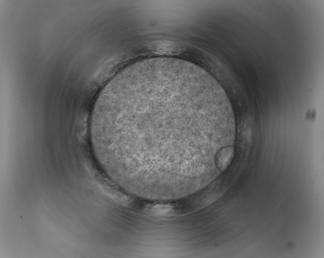 X0000111480554200908251004