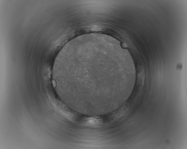 X0000111480555200908251004
