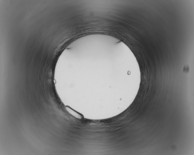 X0000111480556200908251004