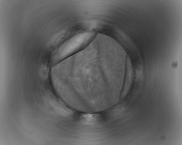 X0000111480558200908251004