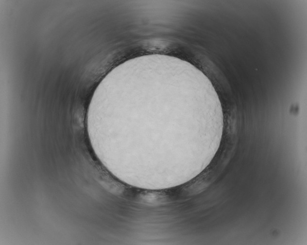 X0000111480561200908251004