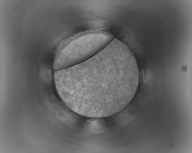 X0000111480564200908251004