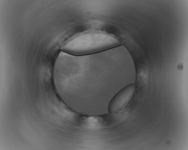 X0000111480566200908251004