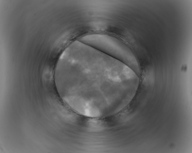 X0000111480568200908251004