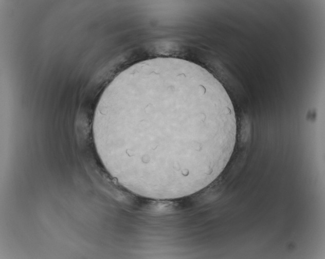X0000111480569200908251004