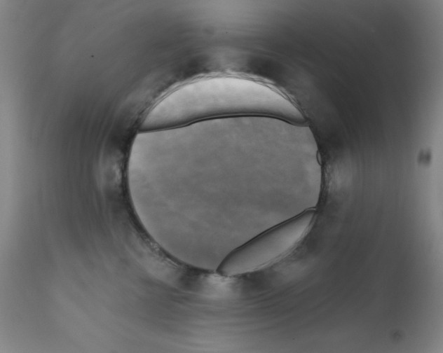 X0000111480570200908251004