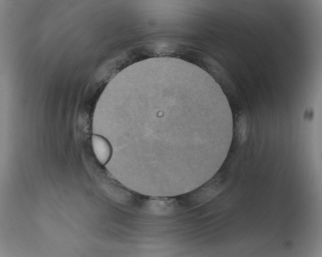 X0000111480571200908251004
