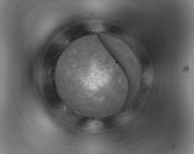 X0000111480572200908251004