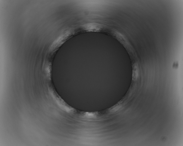 X0000111480573200908251004