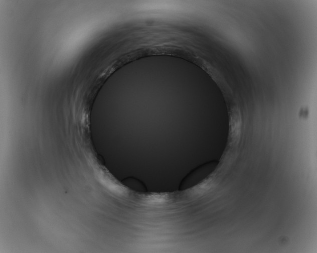 X0000111480574200908251004