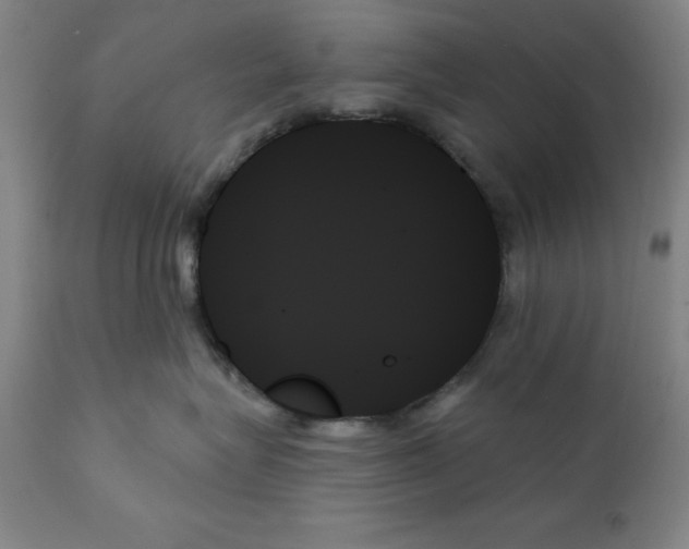 X0000111480575200908251004
