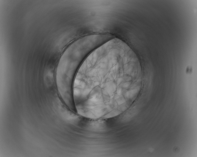 X0000111480576200908251004