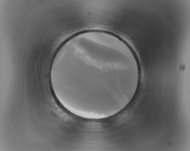 X0000111480577200908251003