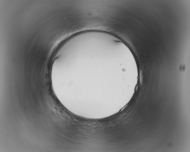 X0000111480579200908251003